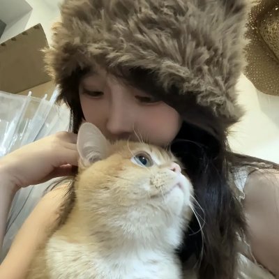 三只老虎海报